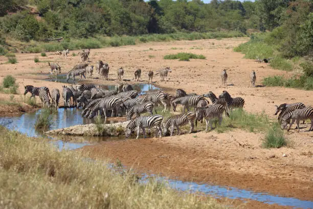 Destinations in Uganda for Summer Break