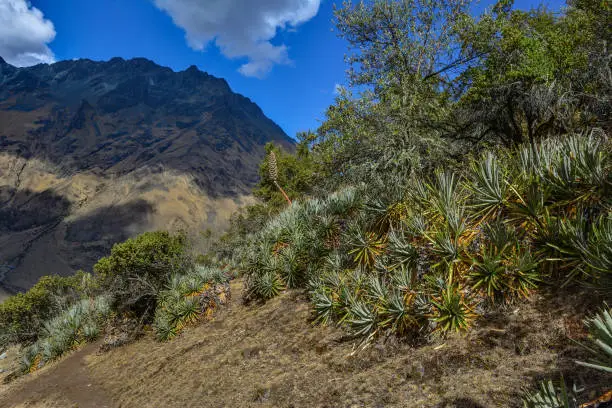 Mountains in Uganda