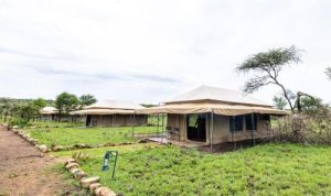 Serengeti Wild Camps