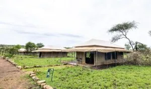 Serengeti Wild Camps