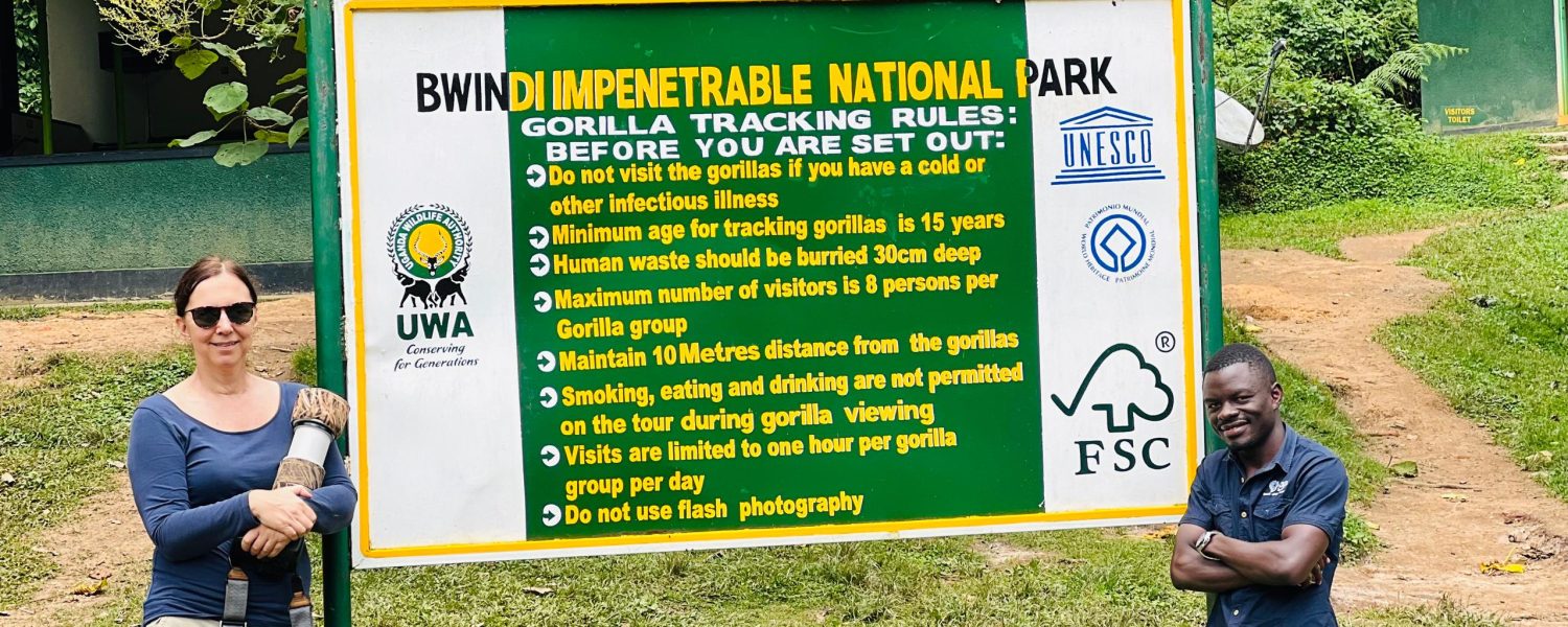 Gorilla Habituation Experience in Bwindi