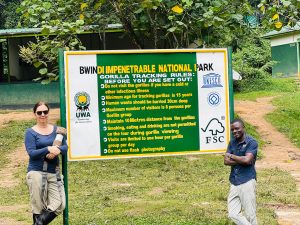 Gorilla Habituation Experience in Bwindi