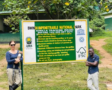 Gorilla Habituation Experience in Bwindi