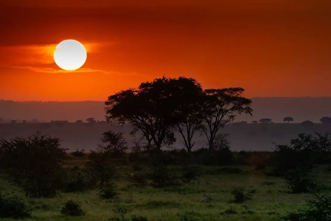 10 Days Honeymoon and Gorilla Trekking Safari