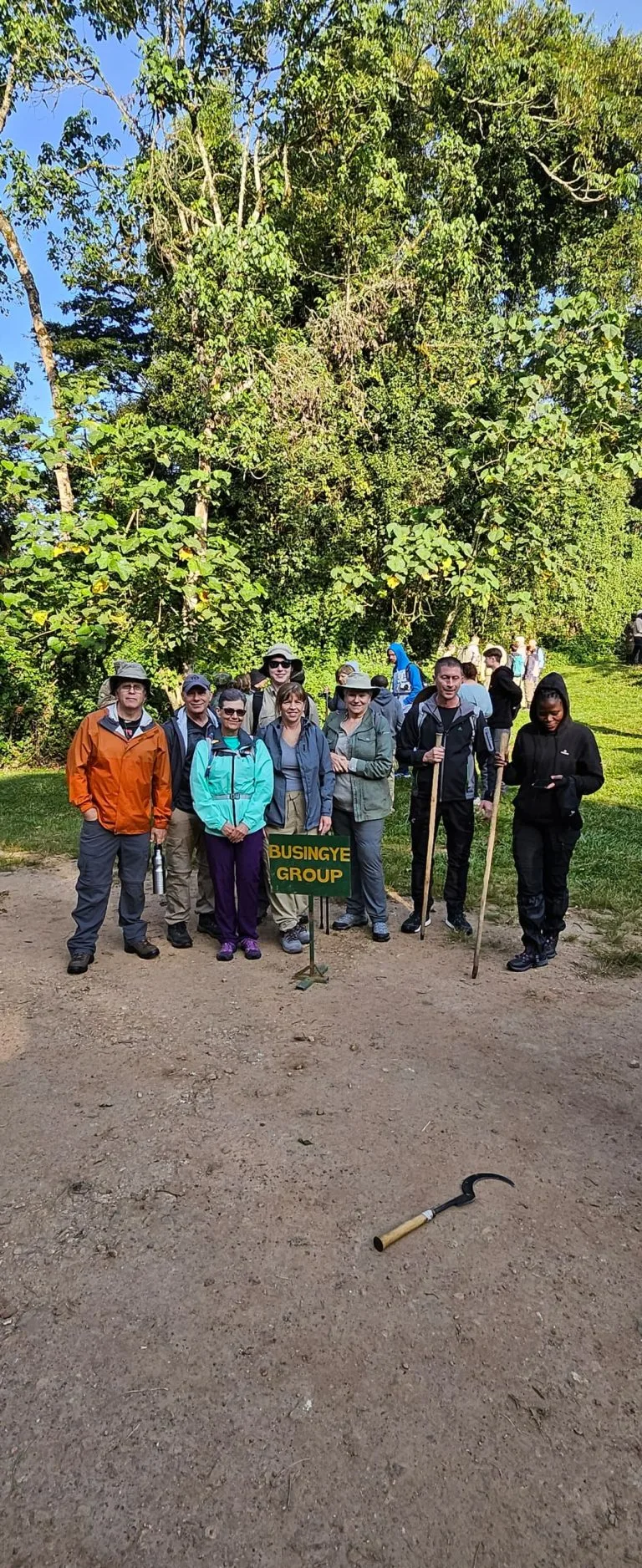 Set Group Tours for Gorilla Trekking in Uganda