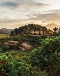 The best month for gorilla trekking in Rwanda