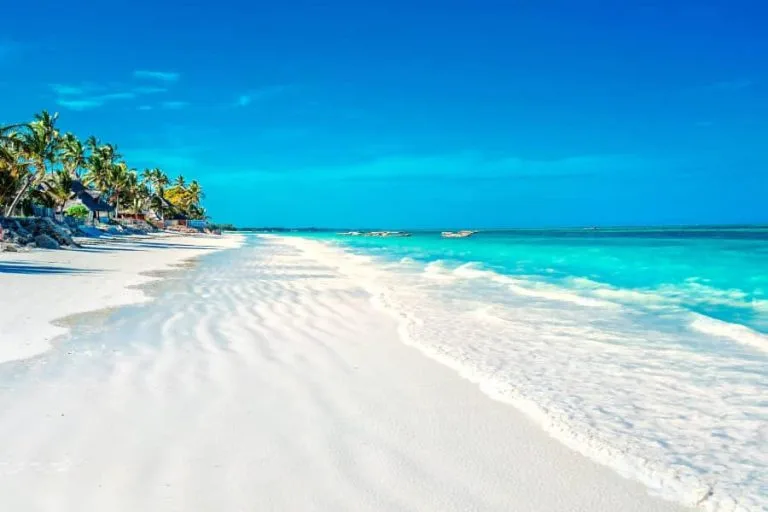 Gorilla Trekking in Uganda and Zanzibar Beach