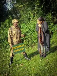 What Time Does The Gorilla Trekking In Bwindi Start And End