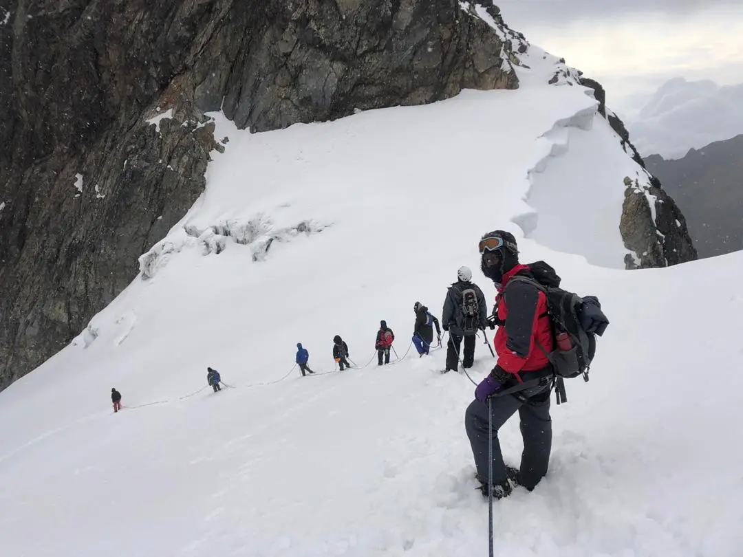 Rwenzori Hiking, Chimpanzee and Gorilla Trekking Safari