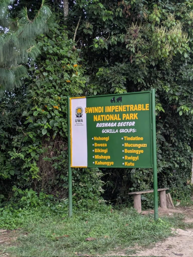 Which sector is the best for Gorilla trekking in Bwindi