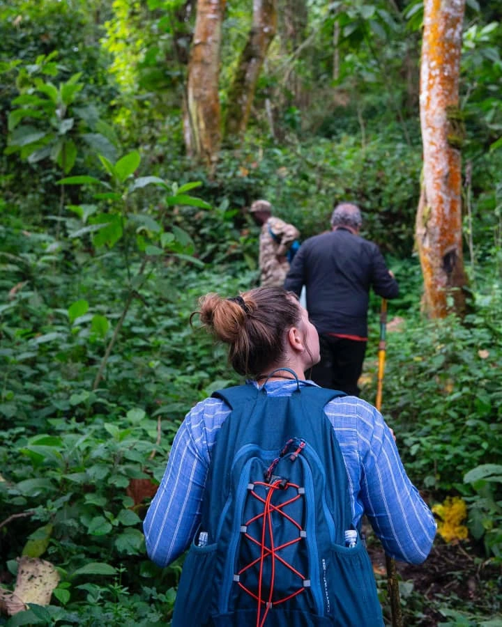 Nature Walk from Nkuringo to Buhoma