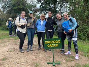 Low Season Uganda Gorilla Trekking Special Offers