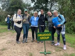 Low Season Uganda Gorilla Trekking Special Offers