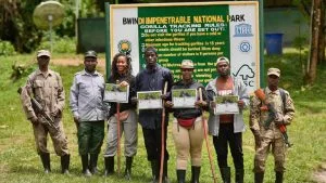Gorilla Permit Availability in Uganda