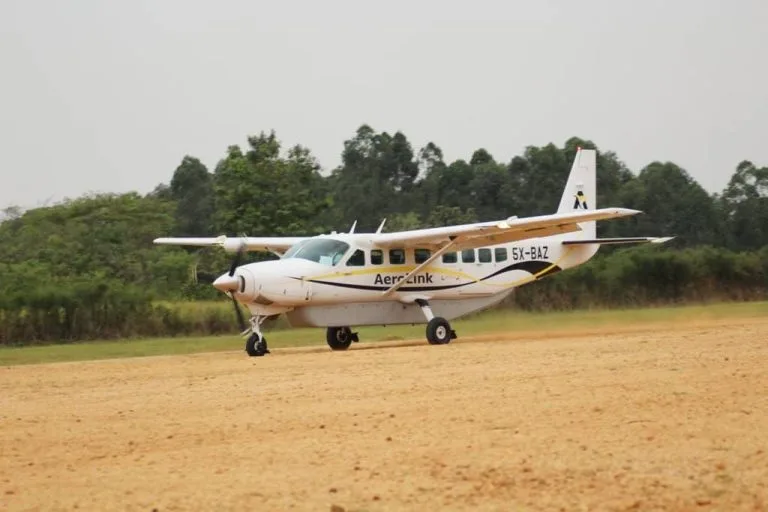 Fly from Masai Mara to Mgahinga for Gorilla Trekking