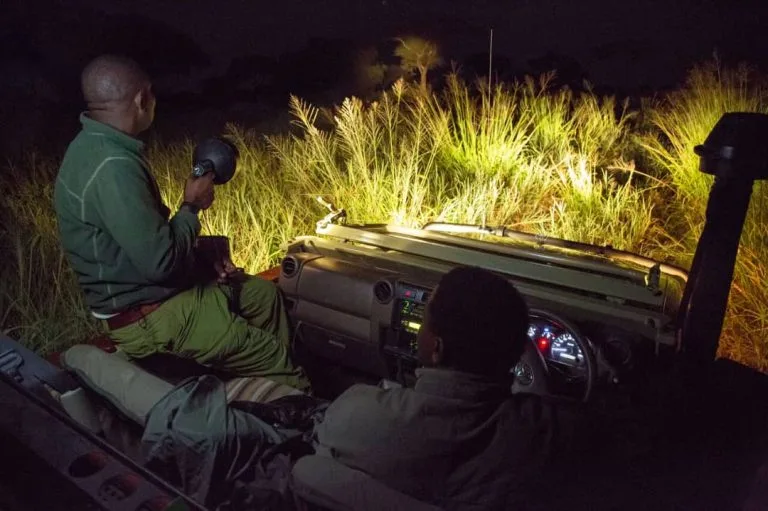 Night Safari Drives In Murchison Falls National Park