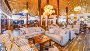 Premier Luxury Safari Lodges in Bwindi