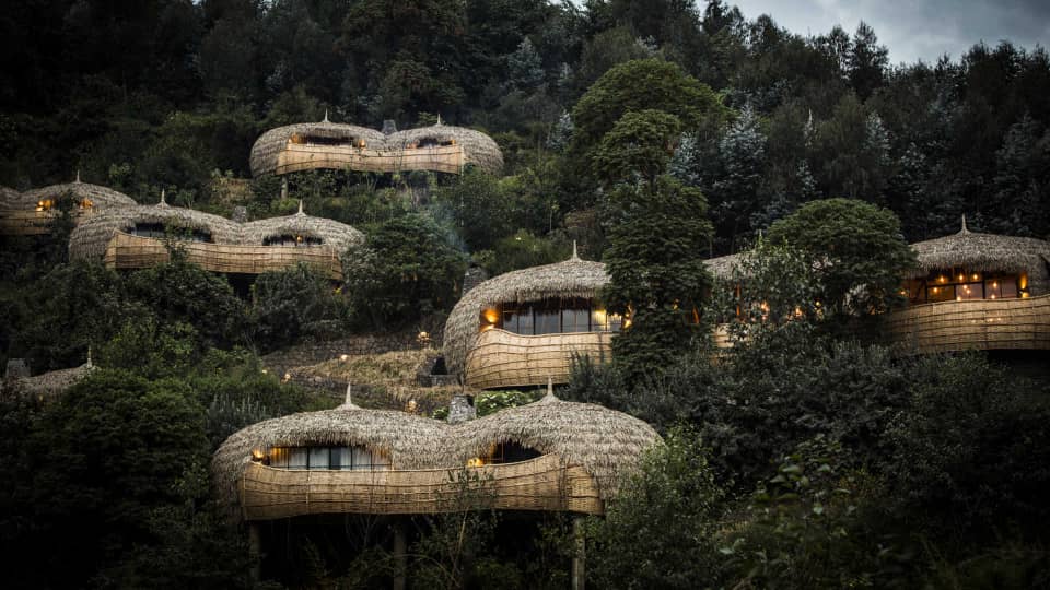 Lodges in Volcanoes National Park Visited by Gorillas