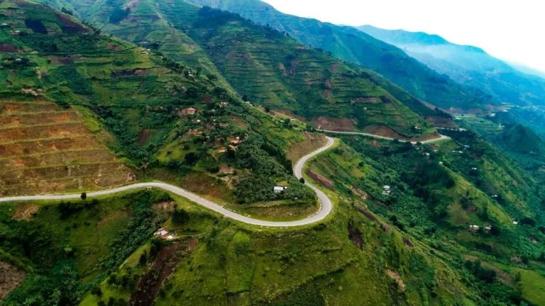 Kazingo Trail in Mountain Rwenzori