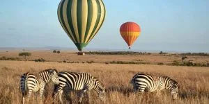 Scenic View of Serengeti, Top Tanzania Day Trips from Arusha