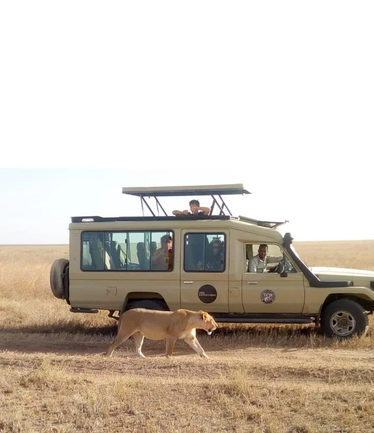 Safari vehicle in Tarangire National Park on a day trip from Arusha