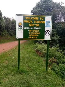 Ruhija Gorilla Sector