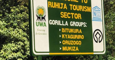 Ruhija Gorilla Sector