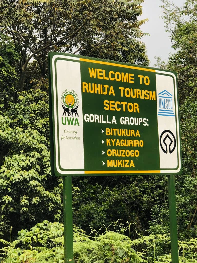 Ruhija Gorilla Sector