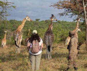Walking Safaris in Lake Mburo