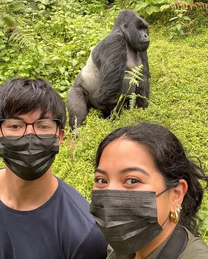 5 Days Uganda Gorilla Chimpanzee Trekking Itinerary (2025/2026)