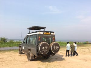 Private game drive in Murchison Falls National Park on a Uganda Luxury Safari