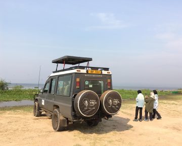 Private game drive in Murchison Falls National Park on a Uganda Luxury Safari