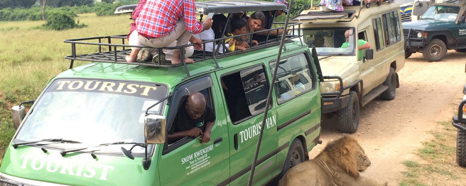 Game drive in Queen Elizabeth National Park on a Uganda Gorilla Tour