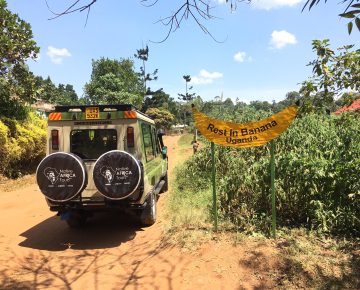 7 Days Uganda Wildlife Safari