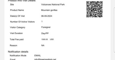 Gorilla Permits Availability in & Rwanda