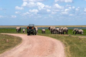15 Days Best of Kenya Wildlife Safari