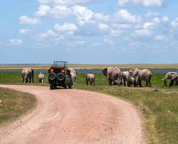 15 Days Best of Kenya Wildlife Safari