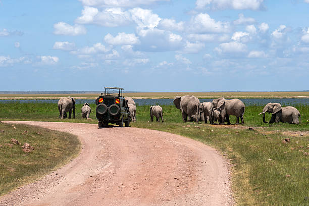 15 Days Best of Kenya Wildlife Safari