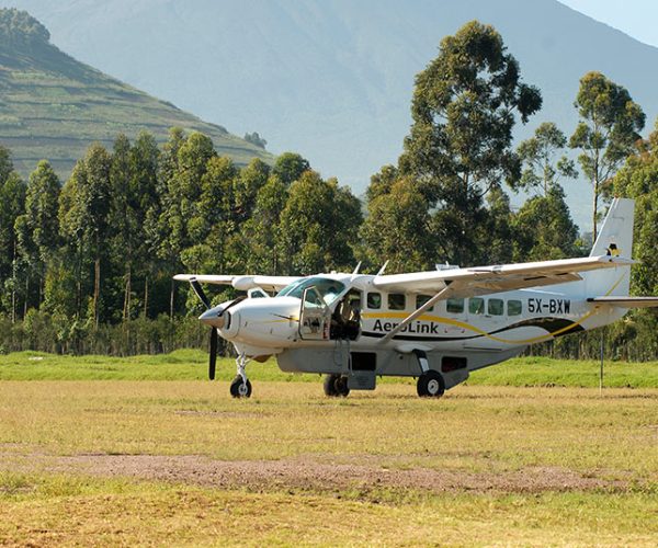 7 Days Flying Uganda Gorilla and Wildlife Safari