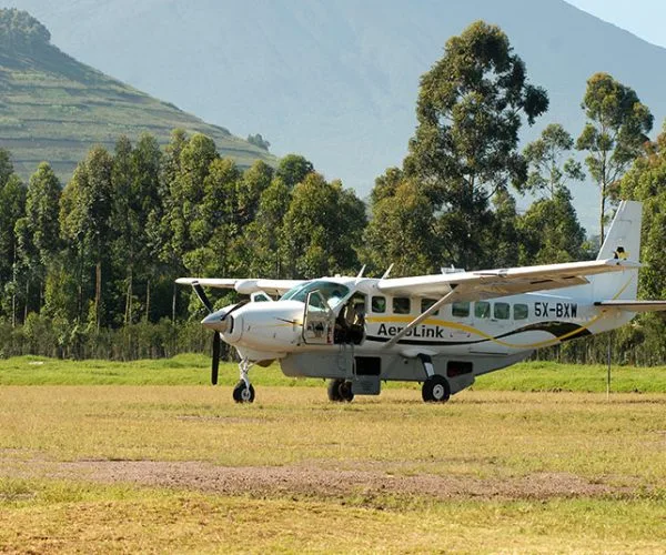 7 Days Flying Uganda Gorilla and Wildlife Safari
