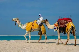 9 Days Kenya Wildlife and Beach Safari