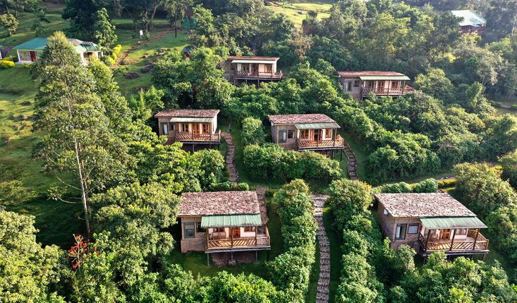 Midrange Lodges in Bwindi