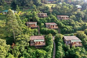 Midrange Lodges in Bwindi