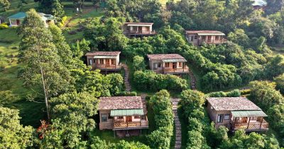 Midrange Lodges in Bwindi