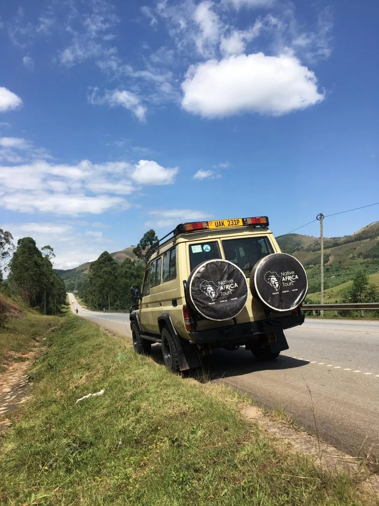 Gorilla Trekking in Ruhija from Kigali