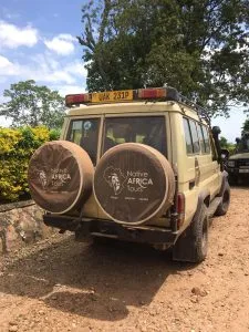 Gorilla Trekking in Volcanoes from Kigali