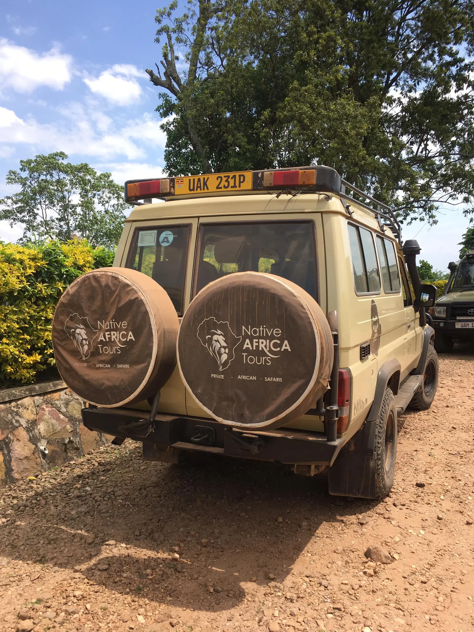 Gorilla Trekking in Volcanoes from Kigali