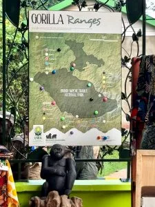 The Easiest Gorilla Trekking Region in Bwindi