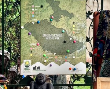 The Easiest Gorilla Trekking Region in Bwindi