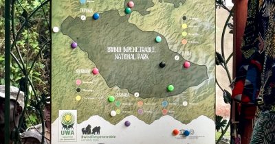 The Easiest Gorilla Trekking Region in Bwindi